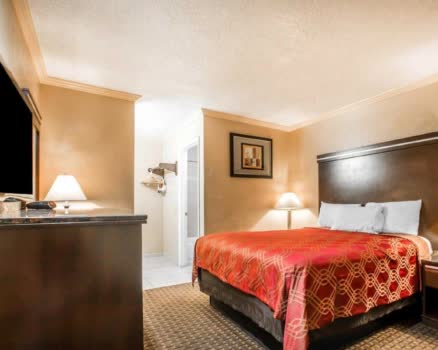 美國聖地牙哥檸檬林東聖地亞哥羅德威旅館Rodeway Inn Lemon Grove San Die