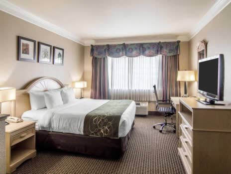 美國休士頓漢布爾休士頓北舒適套房飯店Comfort Suites Humble Houston No