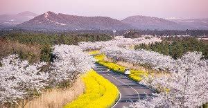 韓國包車濟州一日遊 濟州民俗村．EcoLand森林火車主題樂園．城山日出峰可自訂包車行程 $6397