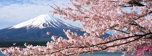 日本富士山一日遊  富士山・河口湖・御殿場 Outlet 東京銀座出發 $2616 - 愛票網