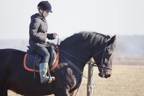 維多利亞馬場 墾丁南灣野外馬場教學體驗 $522 - 愛票網