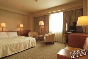 日本福岡博多中央飯店 (Hotel Centraza Hakata) 線上住宿訂房 $2535 - 