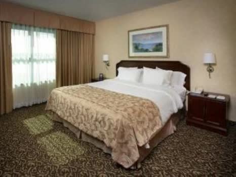 美國聖地牙哥聖迭戈灣希爾頓尊盛飯店 Embassy Suites San Diego Bay Dow
