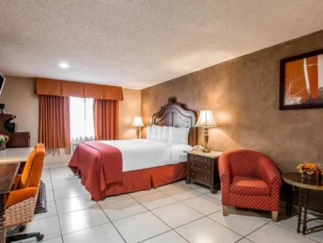 美國聖地牙哥聖思多羅近邊境優質套房飯店 Quality Inn and Suites Near Th