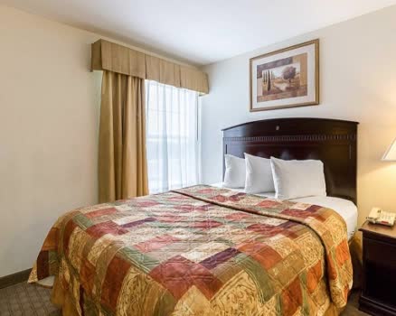 美國休士頓德克薩斯醫學中心/雷萊恩公園門斯特套房飯店MainStay Suites Texas Me