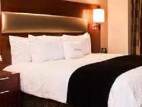 美國 紐約市金融區希爾頓逸林飯店 Doubletree Hotel New York City Fi