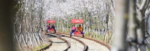江村金裕貞鐵道自行車 Rail Bike 電子門票韓綜拍攝景點 $777 - 愛票網