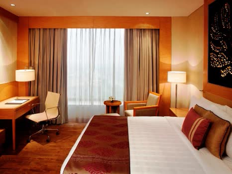 印度 新德里德瓦卡麗笙酒店 Radisson Blu Hotel New Delhi Dwarka 
