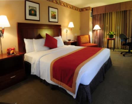 美國 肯樂利賭場飯店 Cannery Casino and Hotel 線上住宿訂房 $1323 -