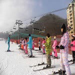 韓國京畿道 芝山滑雪一日遊 【首爾出發】  $799 - 愛票網