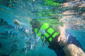 泰國普吉島 珊瑚島、皇帝島浮潛體驗 $1133 - 愛票網