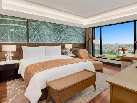 印度 里拉安比恩斯會議飯店 The Leela Ambience Convention Hotel 