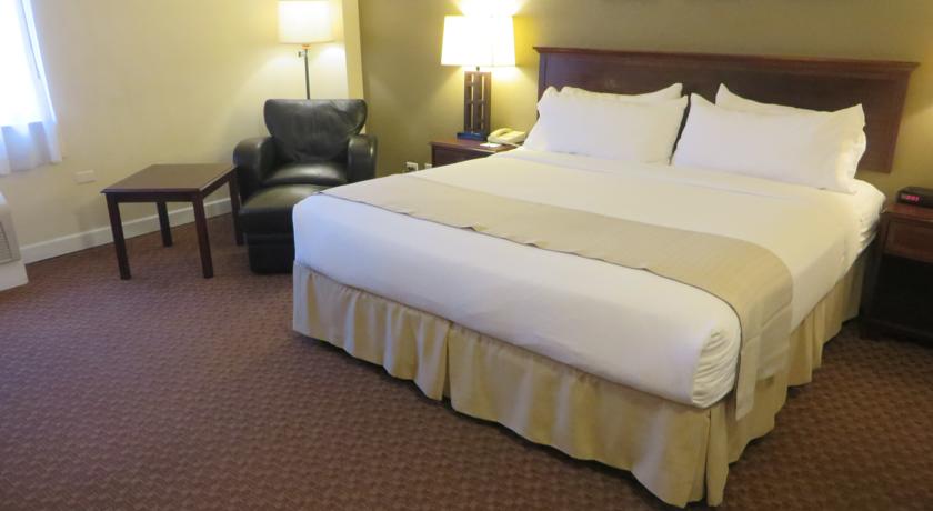 美國 紹姆堡-羅林梅多斯假日酒店 Holiday Inn Schaumburg-Rolling Me