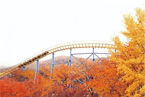 韓國首爾 首爾樂園、首爾動物園、天空纜車套票 $490 - 愛票網