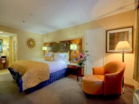 美國聖地牙哥最佳西方PLUS奧塔谷飯店 Best Western PLUS Otay Valley 