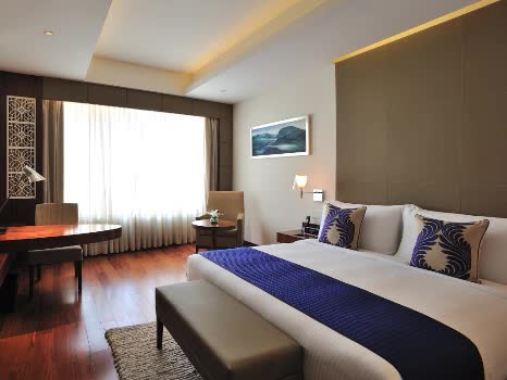 印度 古爾岡安雅飯店 Anya Hotel Gurgaon 線上住宿訂房 $3781 - 愛票網