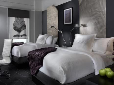 美國 迪瓦飯店 Hotel Diva 線上住宿訂房 $3196 - 愛票網