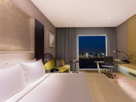 印度 新德里國際機場假日飯店 Holiday Inn New Delhi International