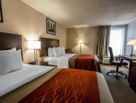 美國 凱富飯店 - 奧黑爾會議中心 Comfort Inn O'Hare - Convention 
