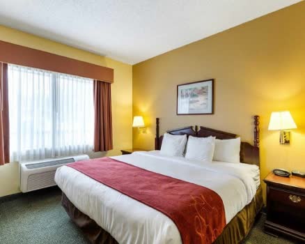 美國休士頓布什國際機場舒適套房飯店Comfort Suites Bush Intercontinen