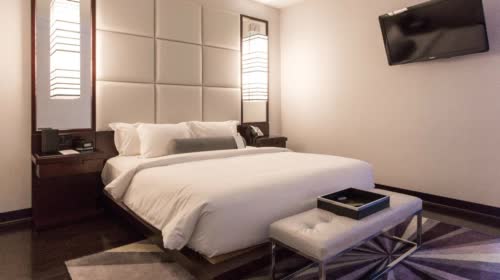 美國 芝加哥常春藤精品飯店 IVY Boutique Hotel Chicago 線上住宿訂房 $9