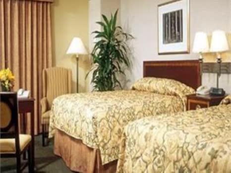 美國聖地牙哥麗笙鄉村套房飯店 - 加利福尼亞州聖地亞哥北 Country Inn & Suites 