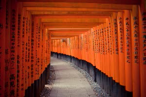 日本京都 1日導覽巴士之旅 清水寺、伏見稻荷大社、金閣寺、竹林小徑、三十三間堂、天龍寺 $3800 