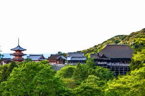 京都經典一日遊 金閣寺．銀閣寺．清水寺  京都出發 $1483 - 愛票網