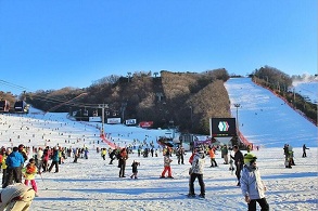 韓國 洪川大明維瓦爾第度假村滑雪一日遊 （首爾出發） $1347 - 愛票網