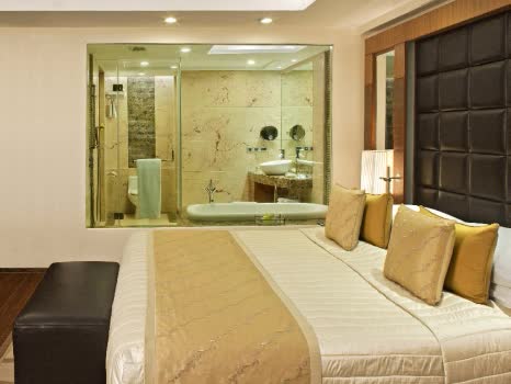 印度 德里機場麗笙世嘉酒店 Radisson Blu Plaza Delhi Airport 線上住