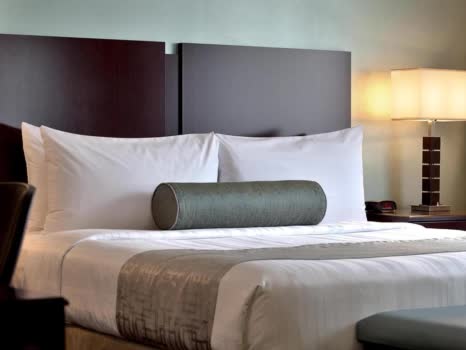 美國 貝斯特韋斯特河北酒店 Best Western River North Hotel 線上住宿訂