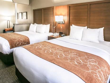 美國休士頓威羅布魯克凱富套房飯店Comfort Suites Willowbrook線上住宿訂房 $