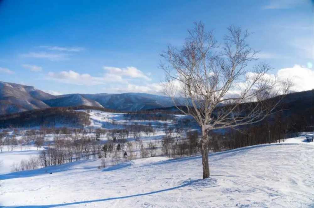 北海道札幌 朝裡川溫泉滑雪場 小班滑雪教學（含接送、全套裝備與纜車票、攝影） $7817 - 愛票網