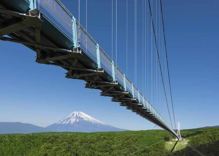 三島大吊橋（Mishima Skywalk）入場預售票 當天購票OK・即訂即用 $45 - 愛票網