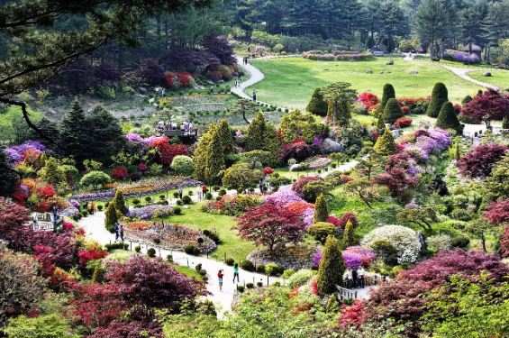 韓國南怡島 & 鐵路自行車 & 小法國村私人之旅線上訂票 $2549 - 愛票網