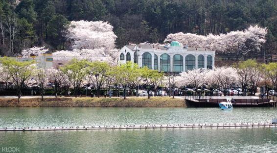 韓國鎮海軍港節＆大邱＆慶州賞櫻兩日遊（World Love Travel提供）線上訂票 $5103 