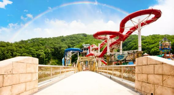 韓國Ocean World水上樂園（包含往返接送）線上訂票 $767 - 愛票網