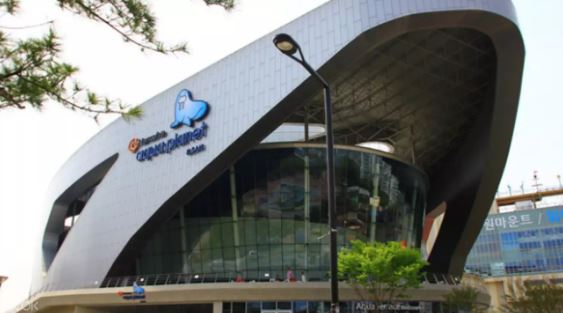 韓國韓華水族館一山線上訂票 $449 - 愛票網