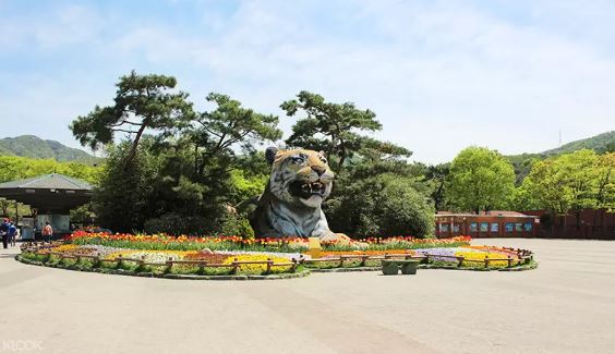 韓國首爾樂園 & 首爾動物園（包含天空纜車 & 大象列車）優惠套票線上訂票 $354 - 愛票網