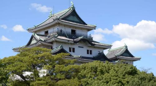 日本和歌山城 & 黑潮市場 & 東大寺一日遊（大阪出發）線上訂票 $1670 - 愛票網