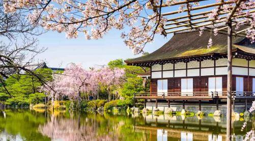 日本午後京都神社半日遊（大阪出發）線上訂票 $2445 - 愛票網