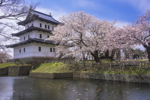 日本北海道南部賞櫻一日遊 - 札幌出發線上訂票 $3556 - 愛票網
