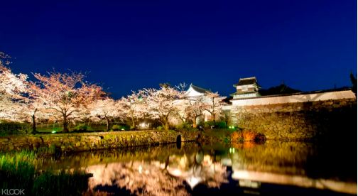 日本福岡舞鶴公園夜櫻 & 和風會席料理晚餐半日遊（中文導遊）線上訂票 $3721 - 愛票網
