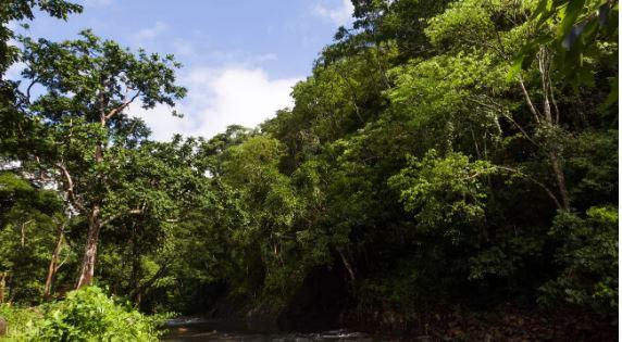 菲律賓巴拉望公主港巴爾薩漢河一日遊線上訂票 $2347 - 愛票網