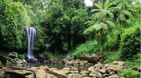 澳洲黃金海岸雷明頓國家公園奧萊利斯雨林一日遊線上訂票 $2286 - 愛票網