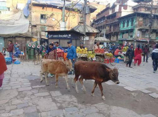 尼泊爾 因陀羅廣場 & 阿山街集市徒步之旅線上訂票 $616 - 愛票網