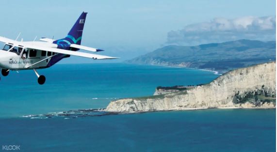 紐西蘭凱庫拉乘飛機觀鯨之旅線上訂票 $3734 - 愛票網