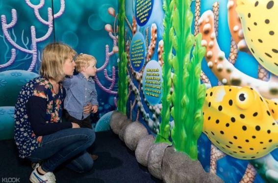 紐西蘭奧克蘭凱莉-塔爾敦海洋生物水族館門票線上訂票 $747 - 愛票網