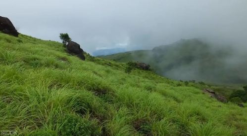 印度果達古最高Tadiyandamol山頂徒步線上訂票 $434 - 愛票網