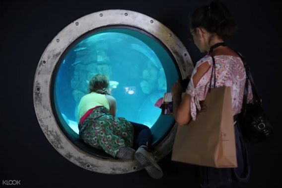 法國巴黎水族館門票線上訂票 $698 - 愛票網